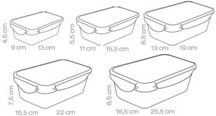 Контейнер для хранения продуктов Tescoma Freshbox, 5 шт. цена и информация | Посуда для хранения еды | 220.lv