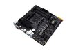 MB Asus AMD AM4 Tuf Gaming A520M Plus цена и информация | Mātesplates | 220.lv