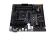 MB Asus AMD AM4 Tuf Gaming A520M Plus cena un informācija | Mātesplates | 220.lv