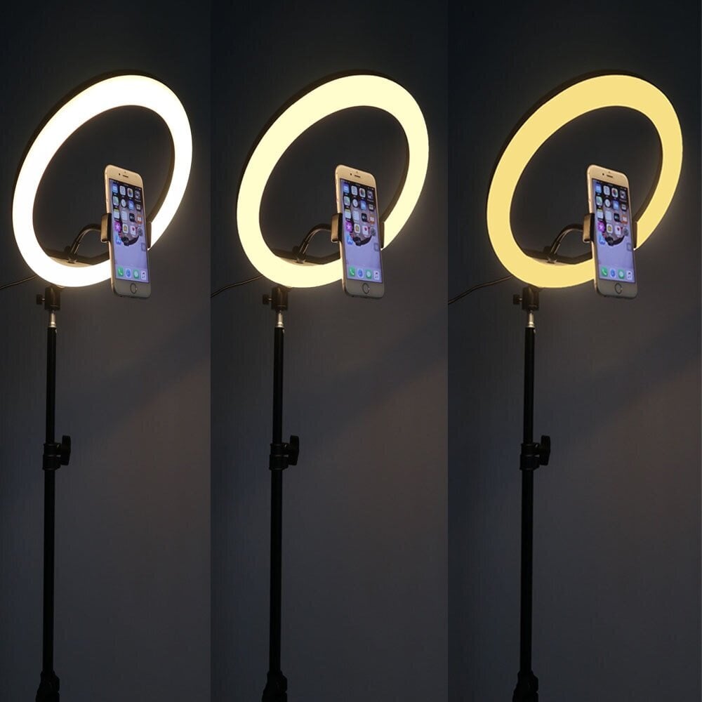LED ring | LED riņķis, gredzenveida lampa, 12inch ar 2m statīvu un telefona turētāju cena un informācija | Apgaismojums fotografēšanai | 220.lv