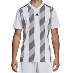 Футболка для мужчин Adidas Striped 19 цена и информация | Мужская спортивная одежда | 220.lv