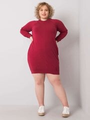 Бордовое платье больших размеров с длинными рукавами цена и информация | Платья | 220.lv