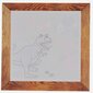 Ūdens zīmēšanas komplekts mazajiem Tiger Tribe Dinozauri cena un informācija | Kancelejas preces | 220.lv