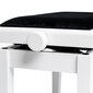 Hidrauliskais klavieru krēsls Stagg PBH 390 WHM VBK cena un informācija | Mūzikas instrumentu piederumi | 220.lv