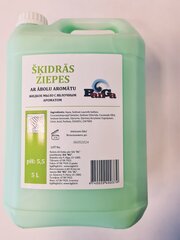 BanGa šķidrās ziepes ar ābolu aromātu, 5 l цена и информация | Мыло | 220.lv