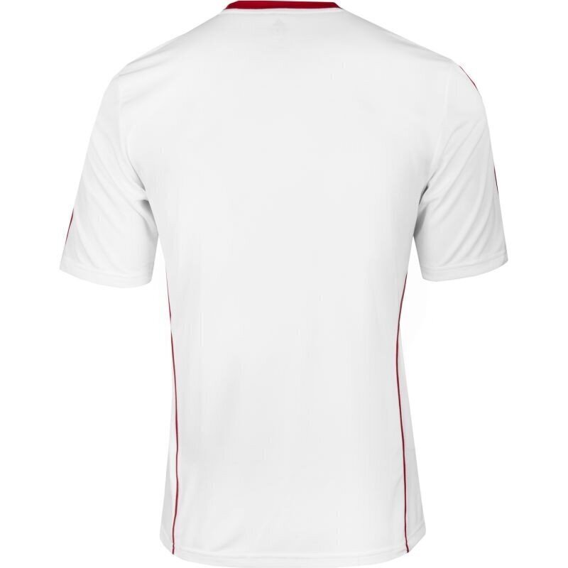 Sporta T-krekls zēniem Adidas squadra 13 junior Z20625, balts cena un informācija | Zēnu krekli | 220.lv