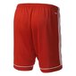 Vīriešu šorti Adidas Squadra 17, sarkani cena un informācija | Sporta apģērbs vīriešiem | 220.lv