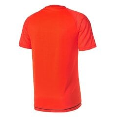 Sporta T-krekls vīriešiem Adidas tiro 17 M BQ2809, oranžs цена и информация | Мужская спортивная одежда | 220.lv