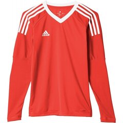 Спортивная рубашка для мальчиков Adidas revigo 17 junior AZ5388, красная цена и информация | Рубашки для мальчиков | 220.lv