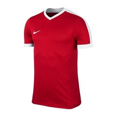 Спортивная футболка для мальчиков Nike striker IV Jr 725974657, красная цена и информация | Рубашки для мальчиков | 220.lv