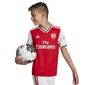 Sporta T-krekls zēniem Adidas Arsenal Home JR EH5644 82586, sarkans cena un informācija | Zēnu krekli | 220.lv