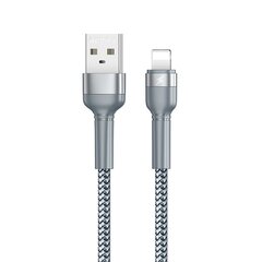 Remax vads, USB - Lightning cable, 1 m, sudrabains cena un informācija | Remax Video un audio tehnika | 220.lv