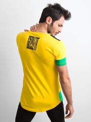 Футболка для мужчин цена и информация | Мужские футболки | 220.lv