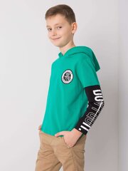 Zaļš kokvilnas sporta krekls zēnam ar uzrakstiem. 2016102793991 cena un informācija | Zēnu krekli | 220.lv