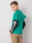 Zaļš kokvilnas sporta krekls zēnam ar uzrakstiem. 2016102793991 cena un informācija | Zēnu krekli | 220.lv