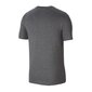 Sporta krekls vīriešiem Nike Dri-FIT Park 20 M CW6952-071 Tee, pelēks цена и информация | Sporta apģērbs vīriešiem | 220.lv