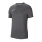 Sporta krekls vīriešiem Nike Dri-FIT Park 20 M CW6952-071 Tee, pelēks цена и информация | Sporta apģērbs vīriešiem | 220.lv