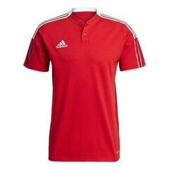 T-krekls vīriešiem Adidas Tiro 21 Polo M GM7365, sarkans цена и информация | Мужская спортивная одежда | 220.lv