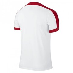 Мужская спортивная футболка Nike striker IV M 725892101, белая цена и информация | Мужская спортивная одежда | 220.lv