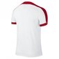 Sporta T-krekls vīriešiem Nike striker IV M 725892101, balts cena un informācija | Sporta apģērbs vīriešiem | 220.lv