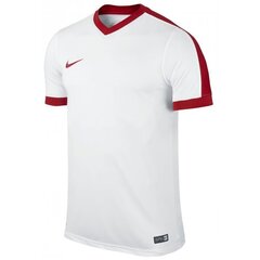 Мужская спортивная футболка Nike striker IV M 725892101, белая цена и информация | Мужская спортивная одежда | 220.lv