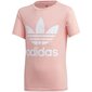 Sporta T-krekls sievietēm Adidas Trefoil Tee W FM5661 74876 цена и информация | Zēnu krekli | 220.lv