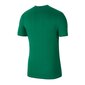 Sporta T-krekls vīriešiem Nike Park 20 Jr CZ0909-302, zaļš cena un informācija | Zēnu krekli | 220.lv