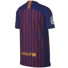 Спортивная футболка для мальчиков Nike FCB NK BRT stad JSY SS HM junior 89458 456, синяя цена и информация | Рубашки для мальчиков | 220.lv