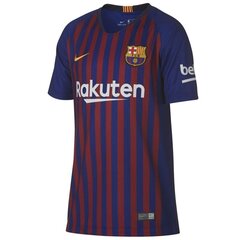 Спортивная футболка для мальчиков Nike FCB NK BRT stad JSY SS HM junior 89458 456, синяя цена и информация | Рубашки для мальчиков | 220.lv