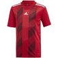 Sporta T-krekls zēniem Adidas Striped 19 JSY Jr 84222 DU4395, sarkans цена и информация | Zēnu krekli | 220.lv