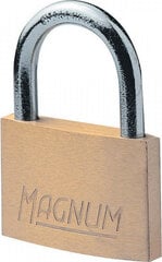 Замок навесной Magnum Masterlock CAD50 цена и информация | Дверные защелки | 220.lv