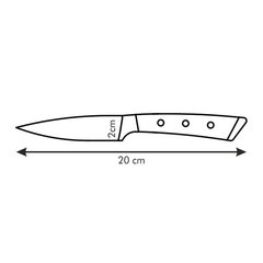 Нож Tescoma Azza, 9 см цена и информация | Ножи и аксессуары для них | 220.lv