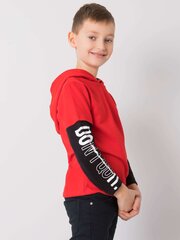 Красная хлопковая толстовка для мальчика с надписями. цена и информация | Рубашки для мальчиков | 220.lv