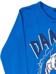 Синяя кофточка для мальчика с принтом. цена и информация | Рубашки для мальчиков | 220.lv