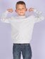 Gaiši pelēks jauniešu sporta krekls. 2016101427521 цена и информация | Zēnu jakas, džemperi, žaketes, vestes | 220.lv
