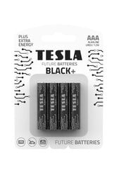 Батарейки Tesla AAA Black + LR03, 4 шт. цена и информация | Батарейки | 220.lv
