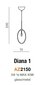 Azzardo piekaramā lampa Diana 1 AZ2150 cena un informācija | Piekaramās lampas | 220.lv