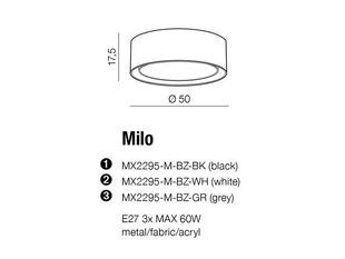 Azzardo griestu lampa Milo AZ2318 цена и информация | Потолочные светильники | 220.lv