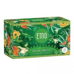 Zaļā tēja ar smiltsērkšķiem un melisu ETNO, 40 g (2 g x 20 gab.) cena un informācija | Tēja | 220.lv