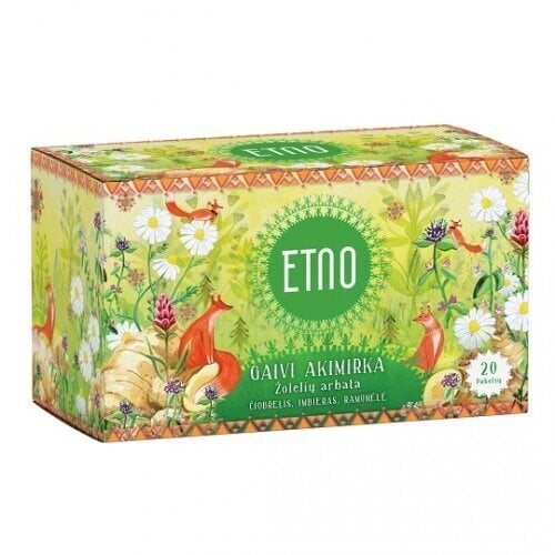 Tēja ar ingveru ETNO Fresh Moment, 38 g (1,8 g x 20 gab.) cena un informācija | Tēja | 220.lv