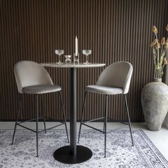 2-vu krēslu komplekts House Nordic Lausanne, pelēks cena un informācija | Virtuves un ēdamistabas krēsli | 220.lv