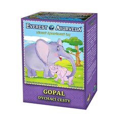 Everest Ayurveda Gopal рассыпчатый чай для детей, 100 g цена и информация | Чай | 220.lv