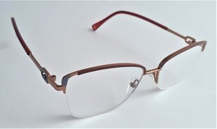 Brilles lasīšanai +3 cena un informācija | Brilles | 220.lv