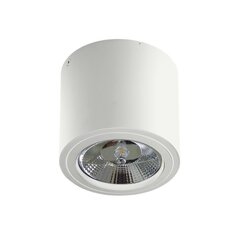 Azzardo iebūvējamais gaismeklis Alix AZ3541 cena un informācija | Iebūvējamās lampas, LED paneļi | 220.lv