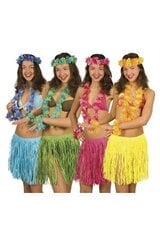 Гавайский комплект цена и информация | Карнавальные костюмы, парики и маски | 220.lv