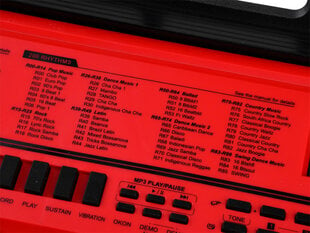 Bērnu sintezators ar mikrofonu BF-950A, sarkans cena un informācija | Attīstošās rotaļlietas | 220.lv