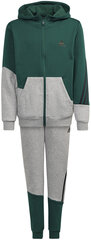 Cпортивный костюм Adidas B Winter Ts Grey Green GT6968/110 цена и информация | Комплекты для мальчиков | 220.lv
