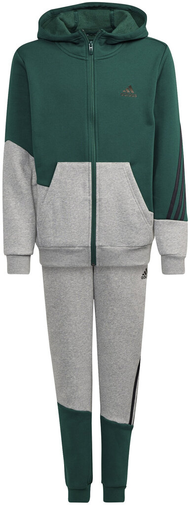 Adidas Sporta Tērpi B Winter Ts Grey Green GT6968/110 цена и информация | Komplekti zēniem | 220.lv