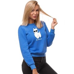 Gaiši zils sieviešu džemperis ar kapuci "No ProLama" JS/W01-45603-XXL cena un informācija | Jakas sievietēm | 220.lv
