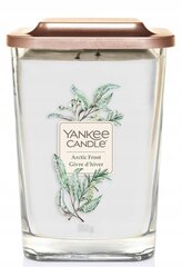 Aromātiskā svece Yankee Candle Arctic Frost 552 g cena un informācija | Sveces un svečturi | 220.lv